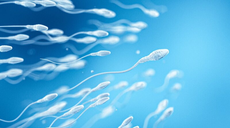 Sperm Donors May Not Be as Anonymous as They Think