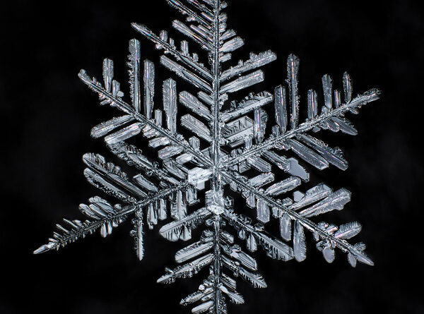 How to Photograph Snowflakes: A Step-By-Step Guide