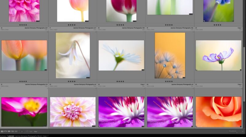 The 6 Types of Lightroom Previews (And How to Use Them)